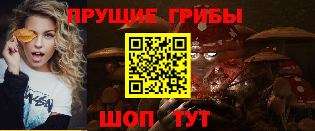 Галлюциногенные грибы GOLDEN TEACHER  где продают наркотики  Вход с VPN  Кизляр  Псилоцибиновые грибы Cubensis 